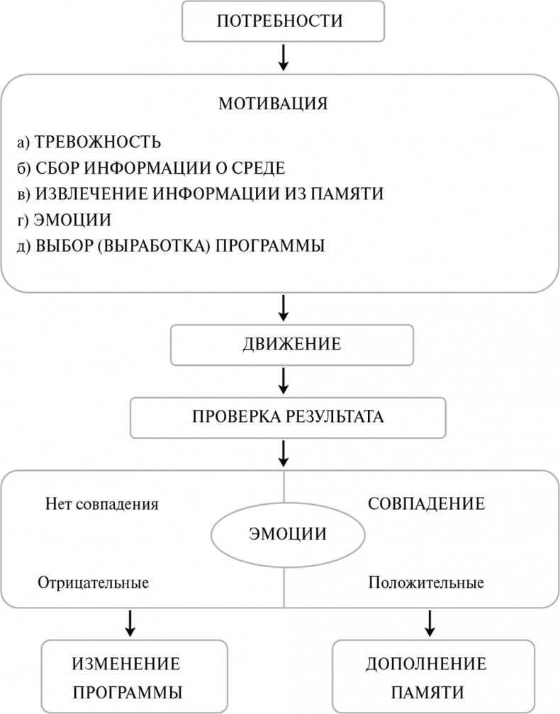 Стой, кто ведет? Биология поведения человека и других зверей