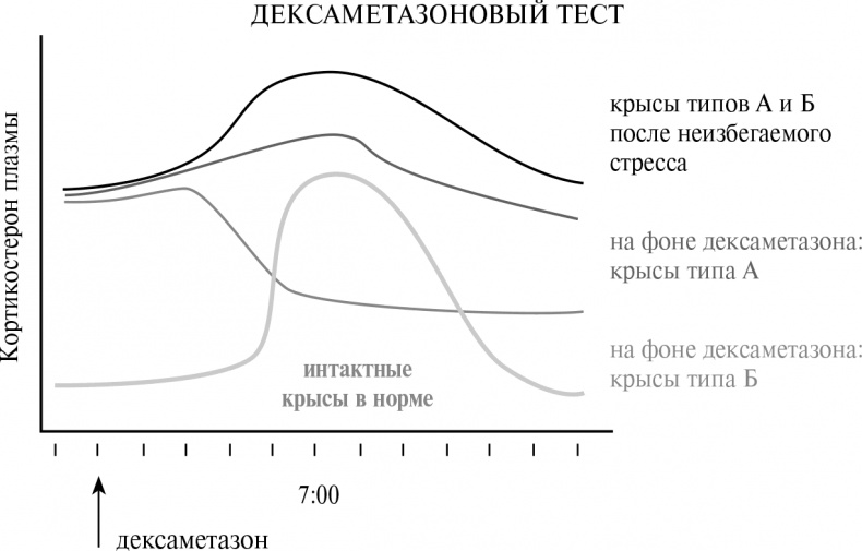 Стой, кто ведет? Биология поведения человека и других зверей