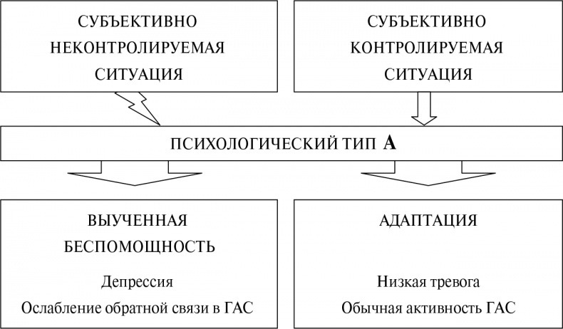 Стой, кто ведет? Биология поведения человека и других зверей