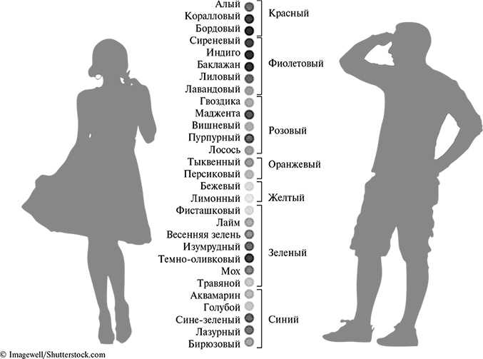 Стой, кто ведет? Биология поведения человека и других зверей