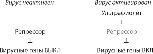 Закон "джунглей". В поисках формулы жизни