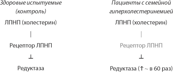 Закон "джунглей". В поисках формулы жизни