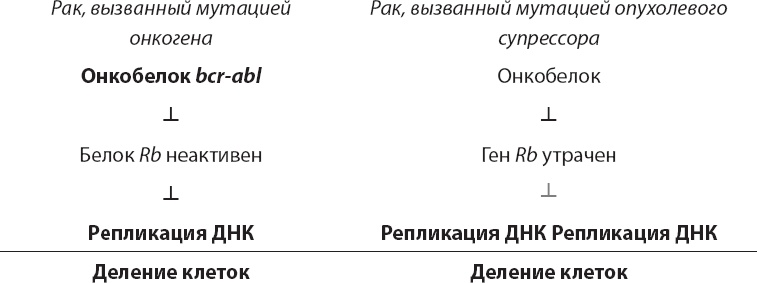 Закон "джунглей". В поисках формулы жизни