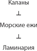 Закон "джунглей". В поисках формулы жизни