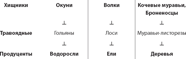 Закон "джунглей". В поисках формулы жизни