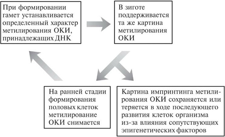 Мусорная ДНК. Путешествие в темную материю генома