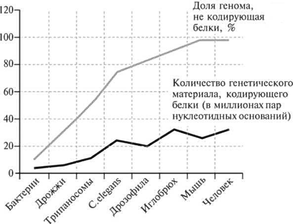 Мусорная ДНК. Путешествие в темную материю генома