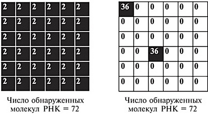 Мусорная ДНК. Путешествие в темную материю генома