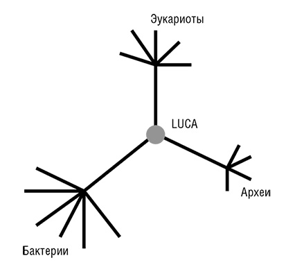 Логика случая. О природе и происхождении биологической эволюции