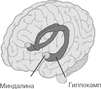 Почему девочки не хуже мальчиков разбираются в математике