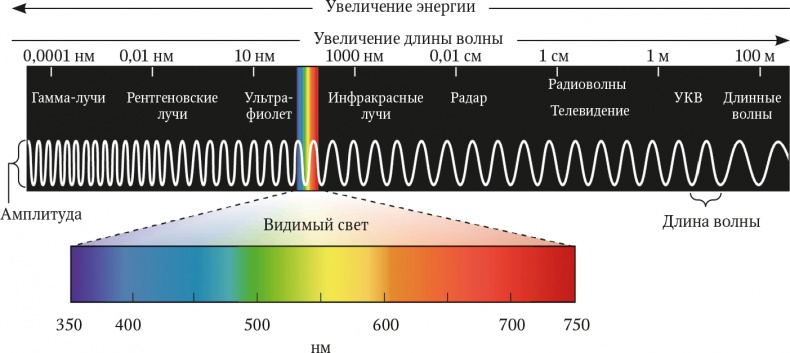 Мозг. Ваша личная история