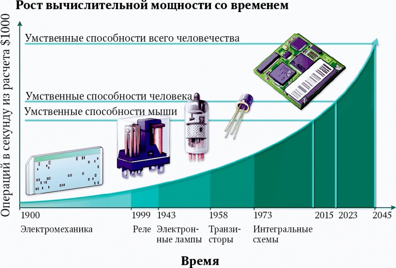 Мозг. Ваша личная история