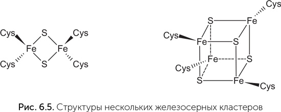 Происхождение жизни. От туманности до клетки