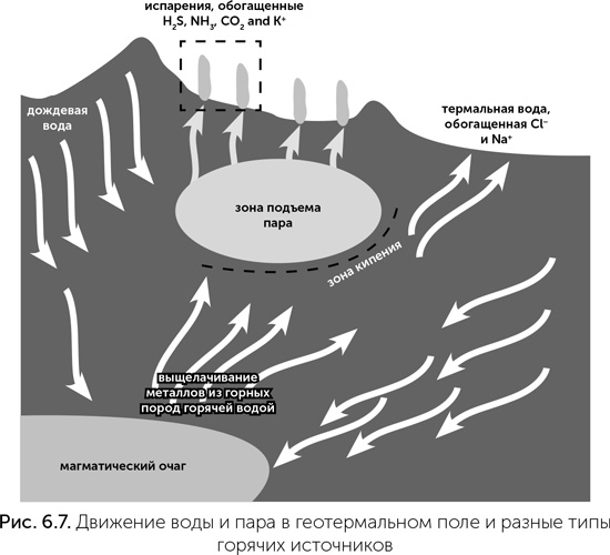 Происхождение жизни. От туманности до клетки