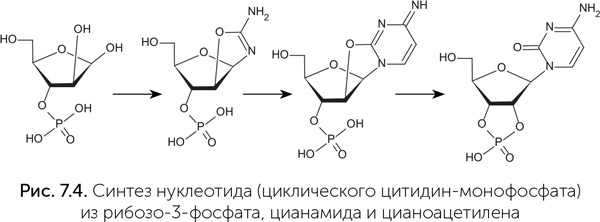 Происхождение жизни. От туманности до клетки