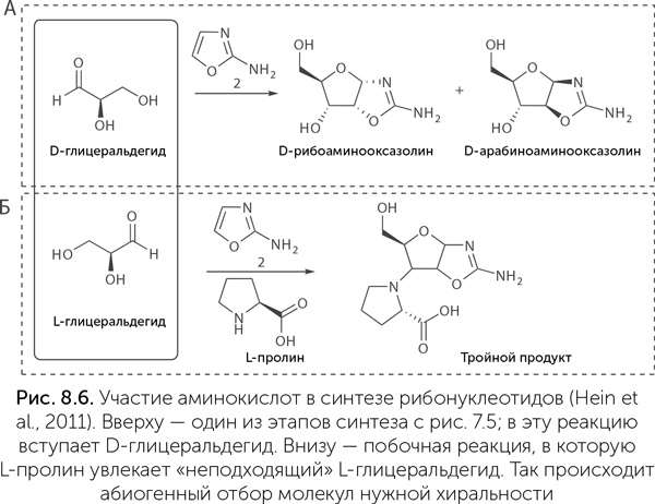 Происхождение жизни. От туманности до клетки