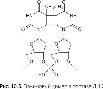 Происхождение жизни. От туманности до клетки