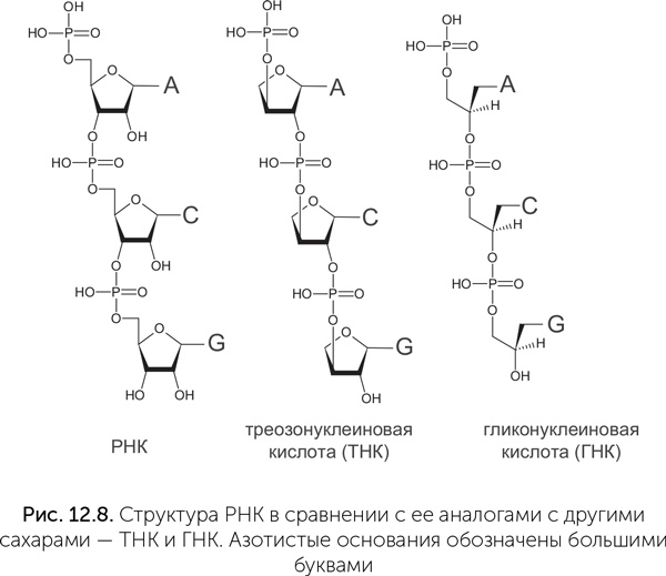 Происхождение жизни. От туманности до клетки