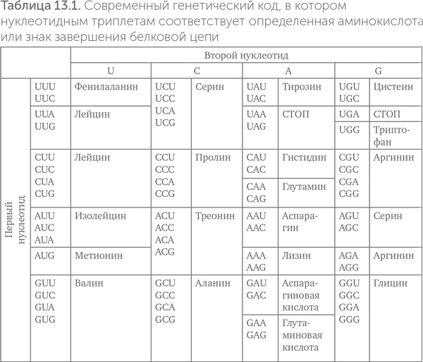 Происхождение жизни. От туманности до клетки