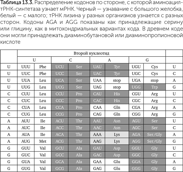 Происхождение жизни. От туманности до клетки