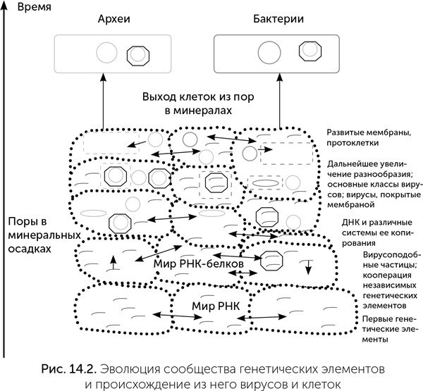 Происхождение жизни. От туманности до клетки