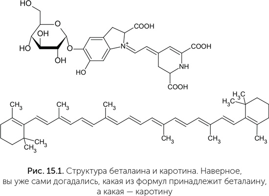 Происхождение жизни. От туманности до клетки