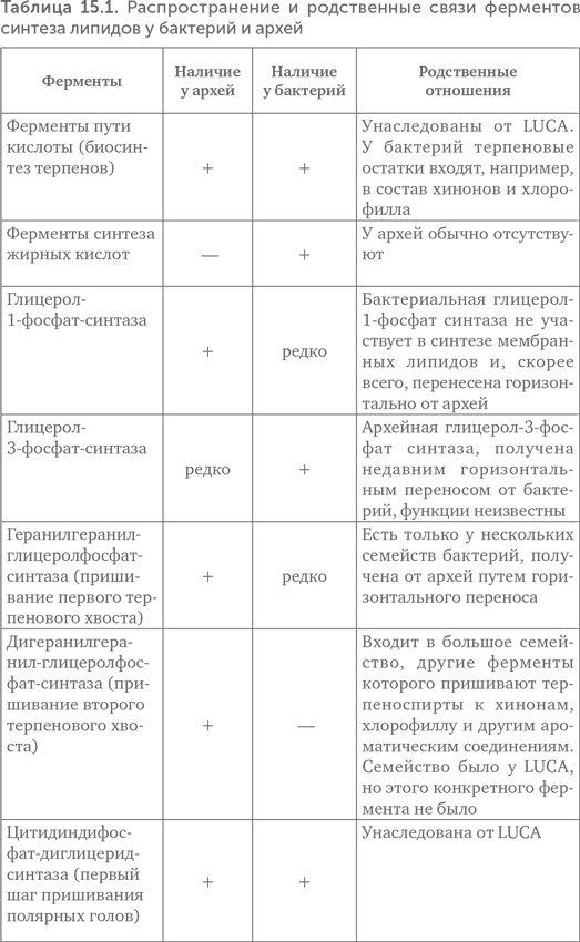 Происхождение жизни. От туманности до клетки