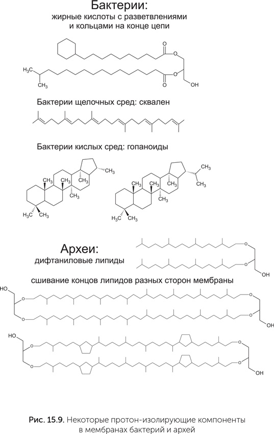 Происхождение жизни. От туманности до клетки