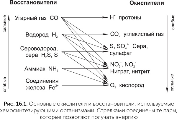 Происхождение жизни. От туманности до клетки