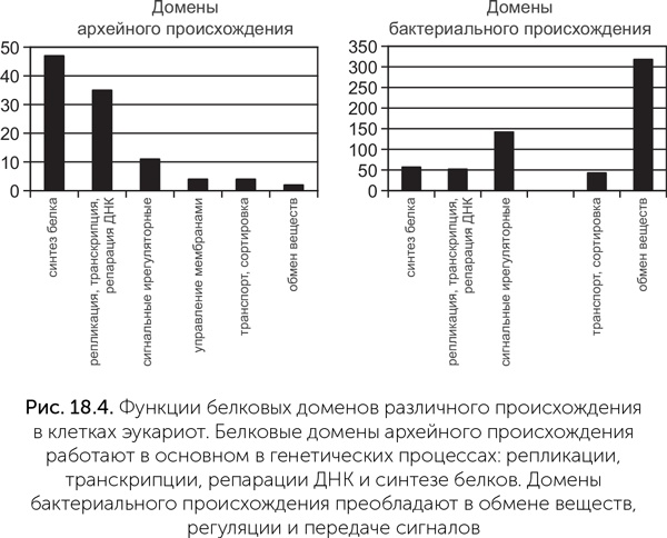 Происхождение жизни. От туманности до клетки