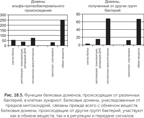 Происхождение жизни. От туманности до клетки