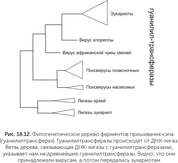 Происхождение жизни. От туманности до клетки