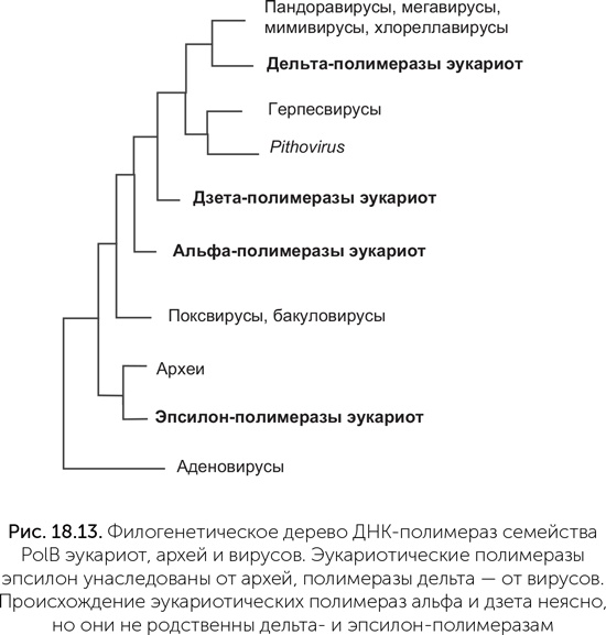 Происхождение жизни. От туманности до клетки