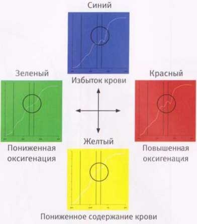 Революция в зрении. Что, как и почему мы видим на самом деле