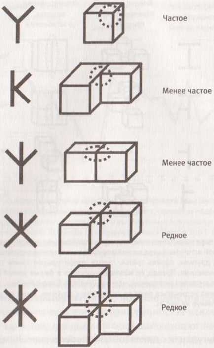 Революция в зрении. Что, как и почему мы видим на самом деле