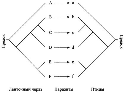 Паразит - царь природы. Тайный мир самых опасных существ на Земле