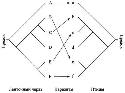 Паразит - царь природы. Тайный мир самых опасных существ на Земле