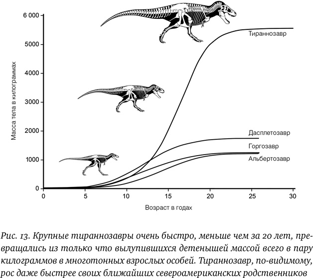 Хроники тираннозавра. Биология и эволюция самого известного хищника в мире