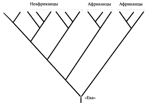 Генетическая одиссея человека