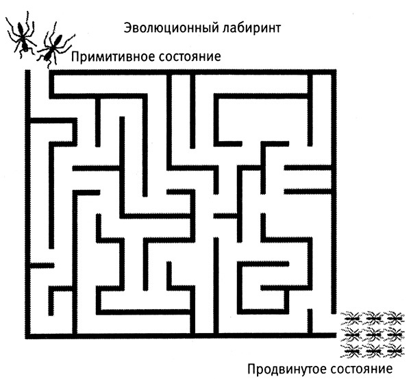 Хозяева Земли. Социальное завоевание планеты человечеством