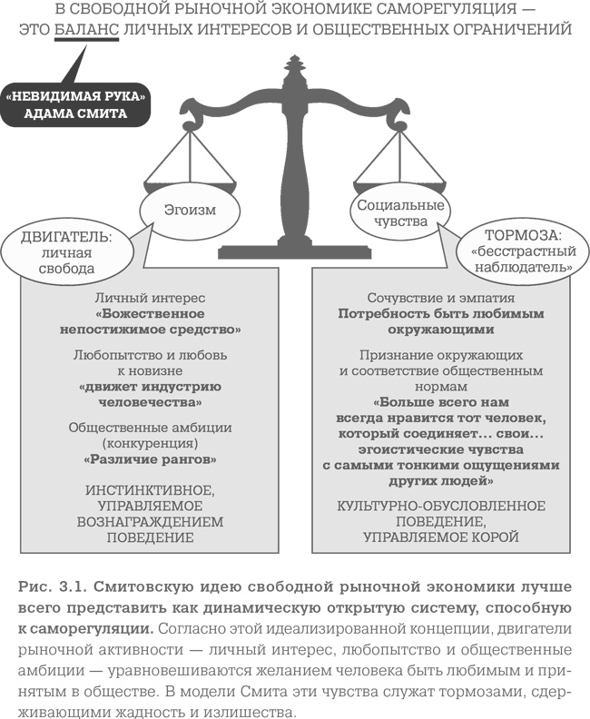 Мозг. Тонкая настройка. Наша жизнь с точки зрения нейронауки