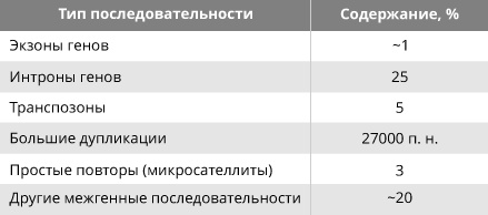 Геном человека: Энциклопедия, написанная четырьмя буквами