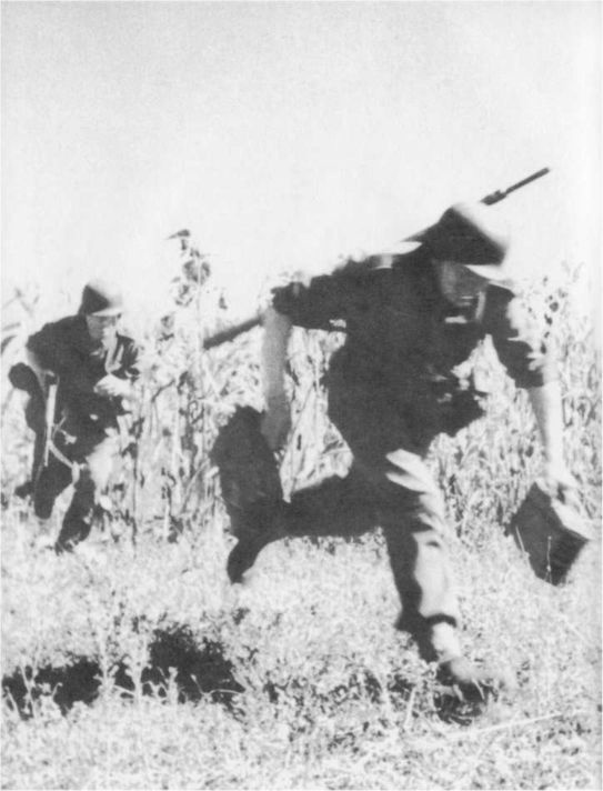 Wehrmacht. Сухопутные войска III Рейха