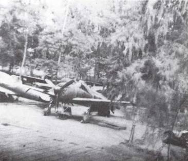 Японская императорская военно-морская авиация. 1937-1945