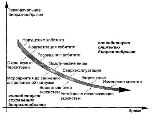 Основы геоэкологии