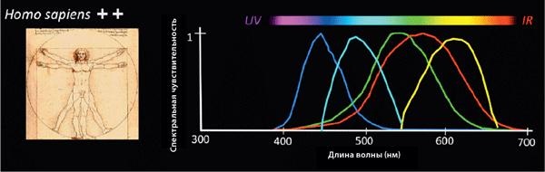 Красота физики. Постигая устройство природы