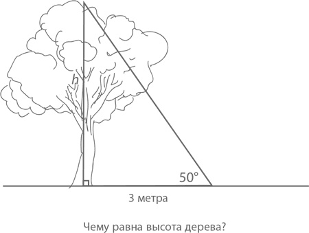 Магия математики. Как найти x и зачем это нужно