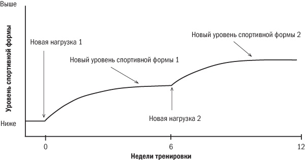 От 800 метров до марафона