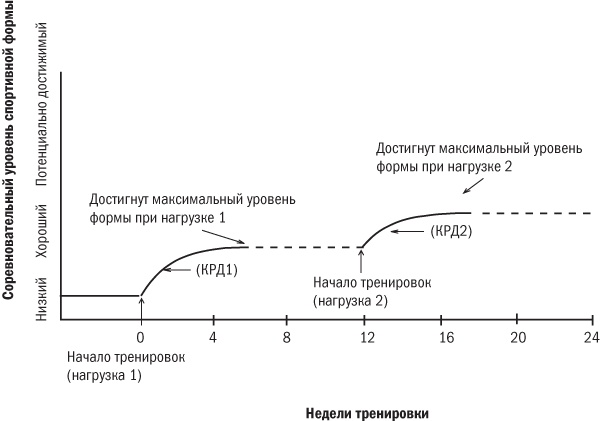 От 800 метров до марафона