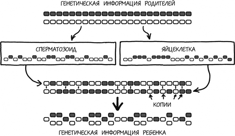 А что, если?.. Научные ответы на абсурдные гипотетические вопросы